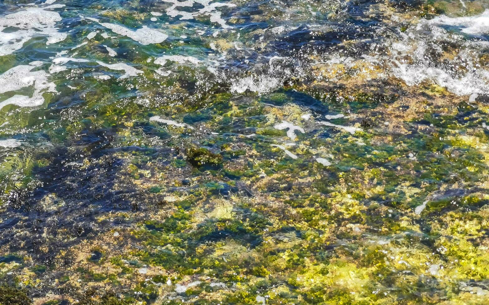 pierres roches coraux turquoise vert bleu eau sur la plage mexique. photo