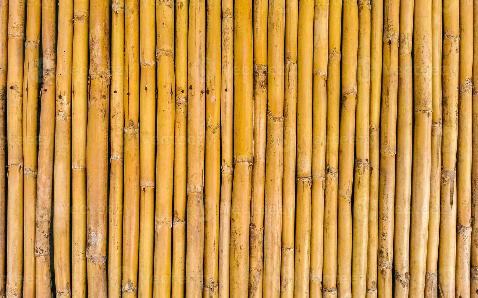 bambou bois mur et porte texture dans puerto escondido Mexique. photo