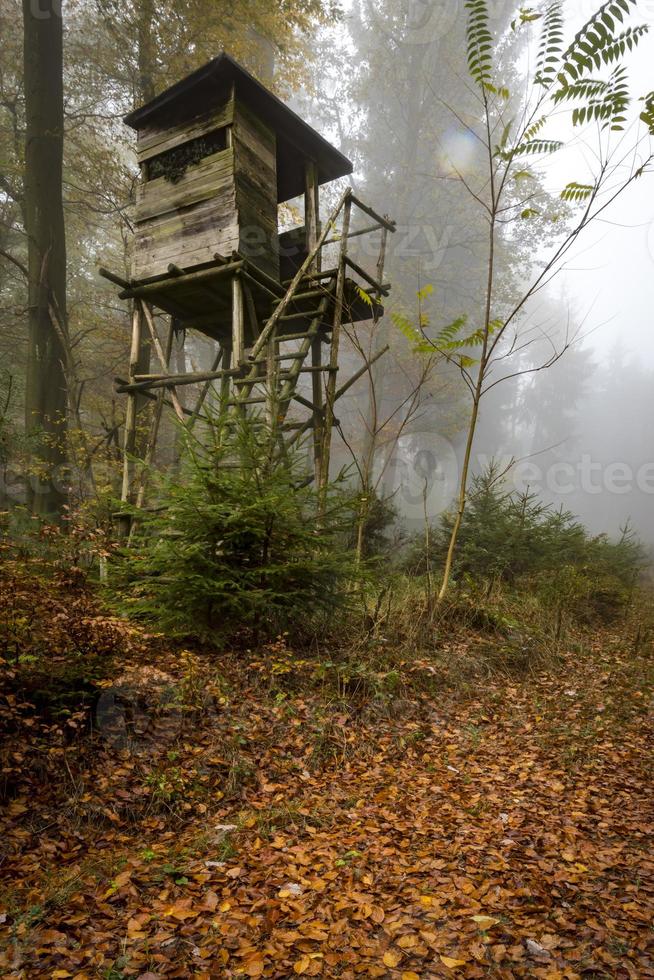 Chasseur en bois perché à la lisière de la forêt dans le brouillard dans la forêt de pins d'automne photo