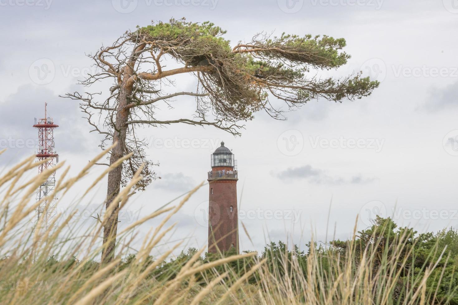 Phare allemand avec pin ardoise et herbe sèche photo