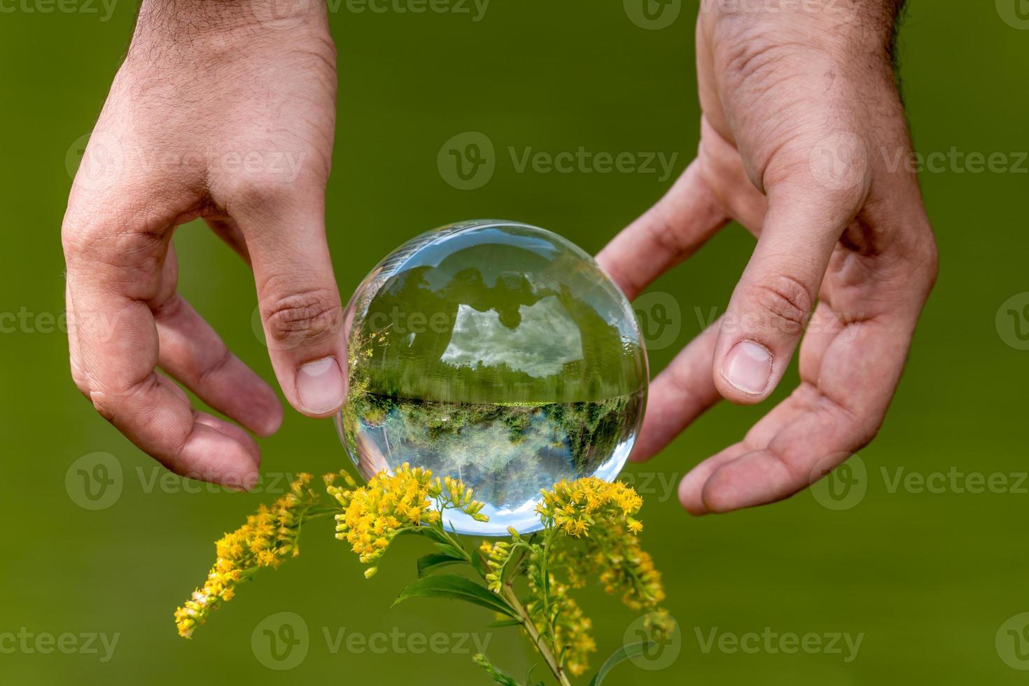 Une main d'homme atteint pour un globe en verre avec un lac en miroir les arbres et le ciel sur un fond vert photo