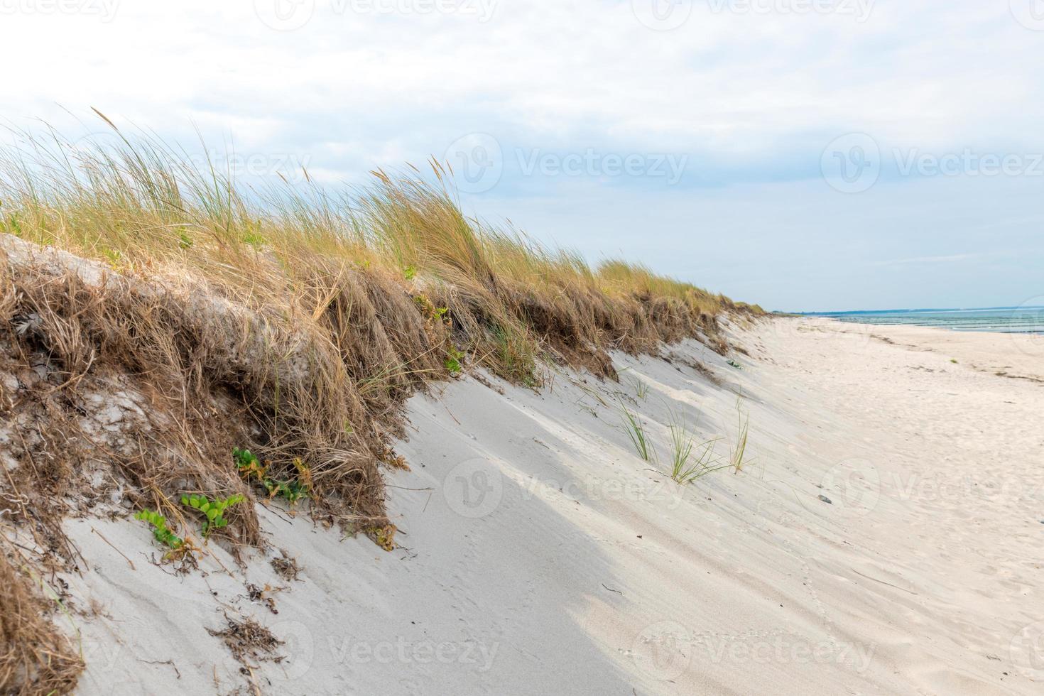 Côte de la mer Baltique allemande avec des dunes de sable herbe eau et ciel photo