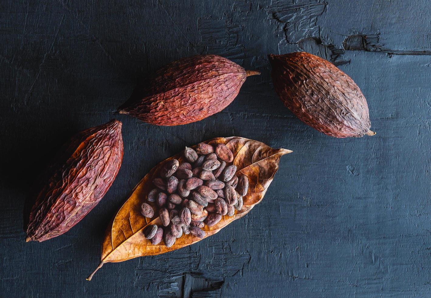 fèves de cacao séchées et cacao séché photo