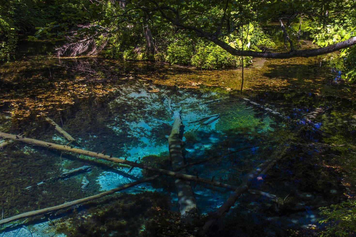 kami no ko ike étang à hokkaido en été photo