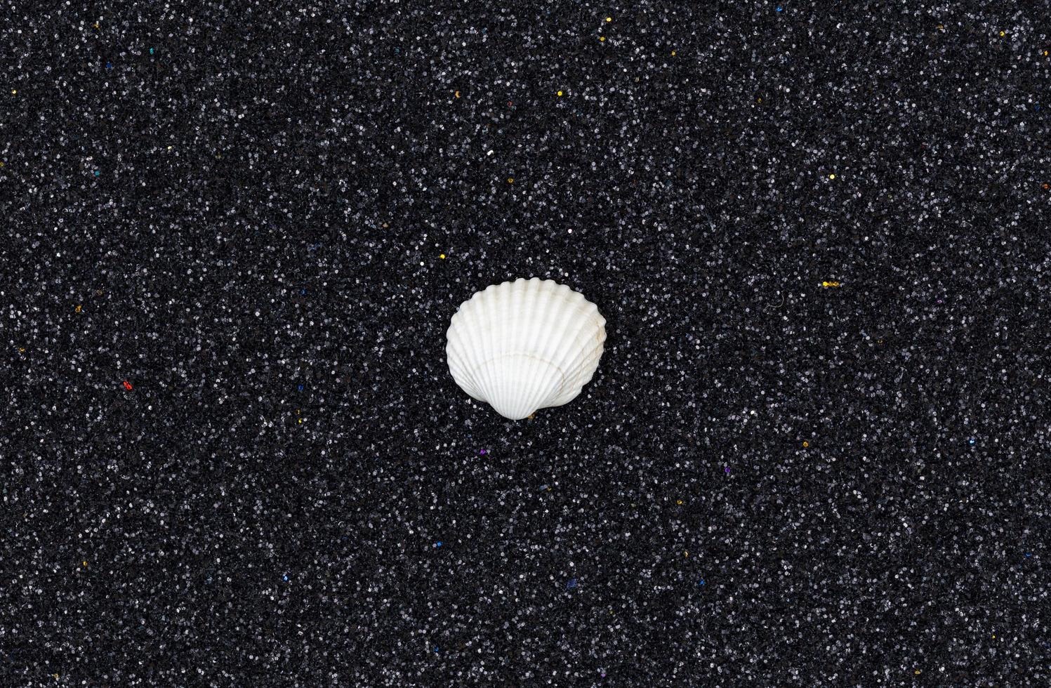 coquillages blancs disposés sur un fond de paillettes noires à la mode photo