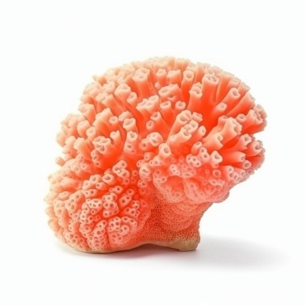 corail isolé. illustration ai génératif photo