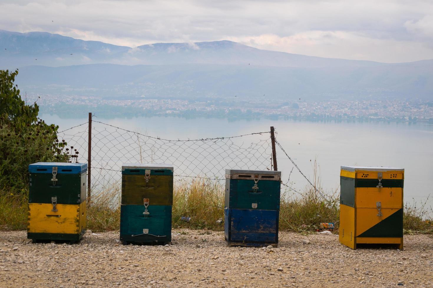 quatre ruches d'abeilles photo