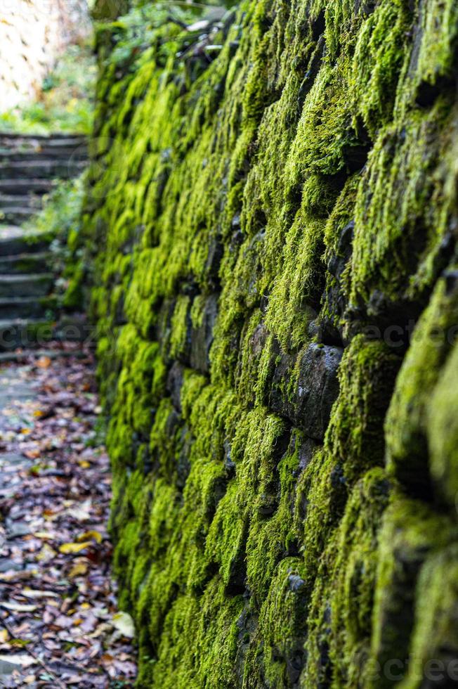 mur de pierre et mousse verte photo