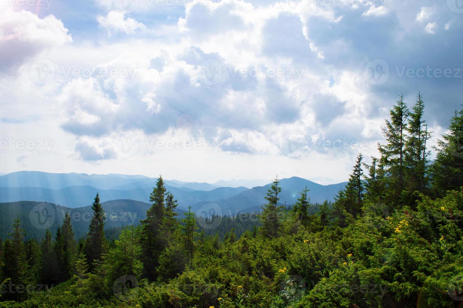 Panorama des montagnes des Carpates de collines verdoyantes en montagne d'été photo