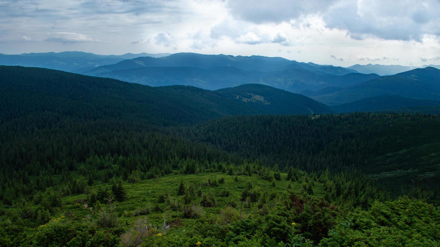 Panorama des montagnes des Carpates de collines verdoyantes en montagne d'été photo