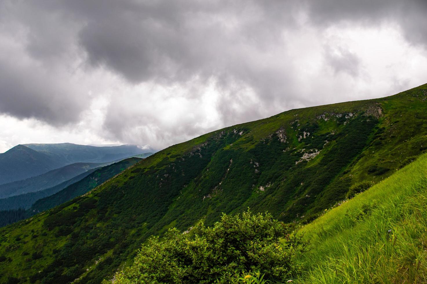 Panorama des montagnes des Carpates de collines verdoyantes en montagne d'été photo