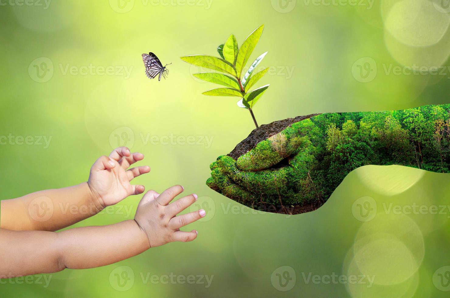 jour de la terre entre les mains des arbres photo