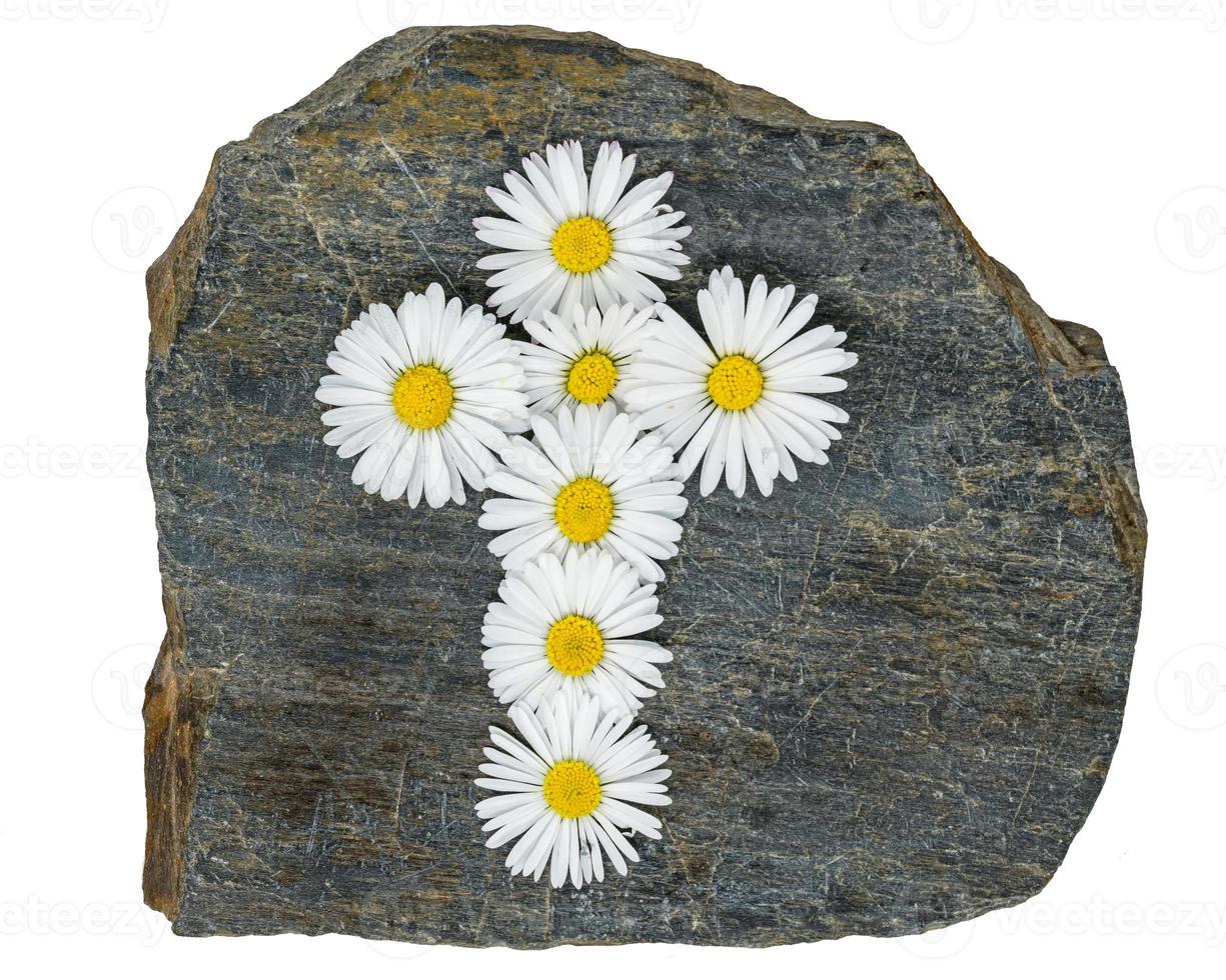 Croix chrétienne faite de fleurs de marguerite blanche jaune sur une plaque d'ardoise grise photo