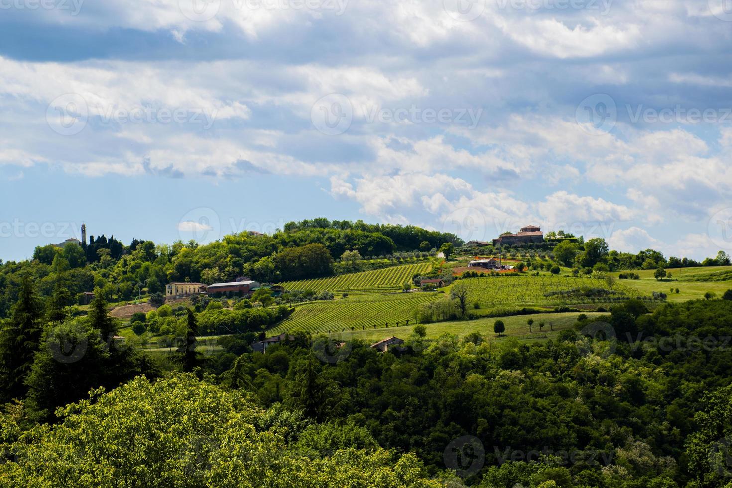 champs agricoles verts sur les collines photo