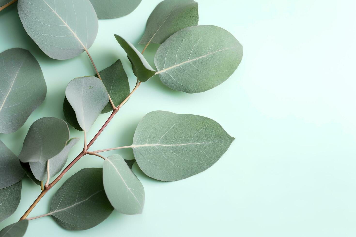Naturel eucalyptus feuilles sur menthe pastel vert Contexte. plat allonger floral composition, Haut voir, copie espace, produire ai photo