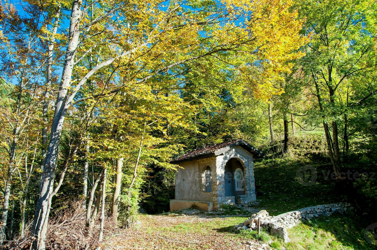 chalet entouré par la nature photo