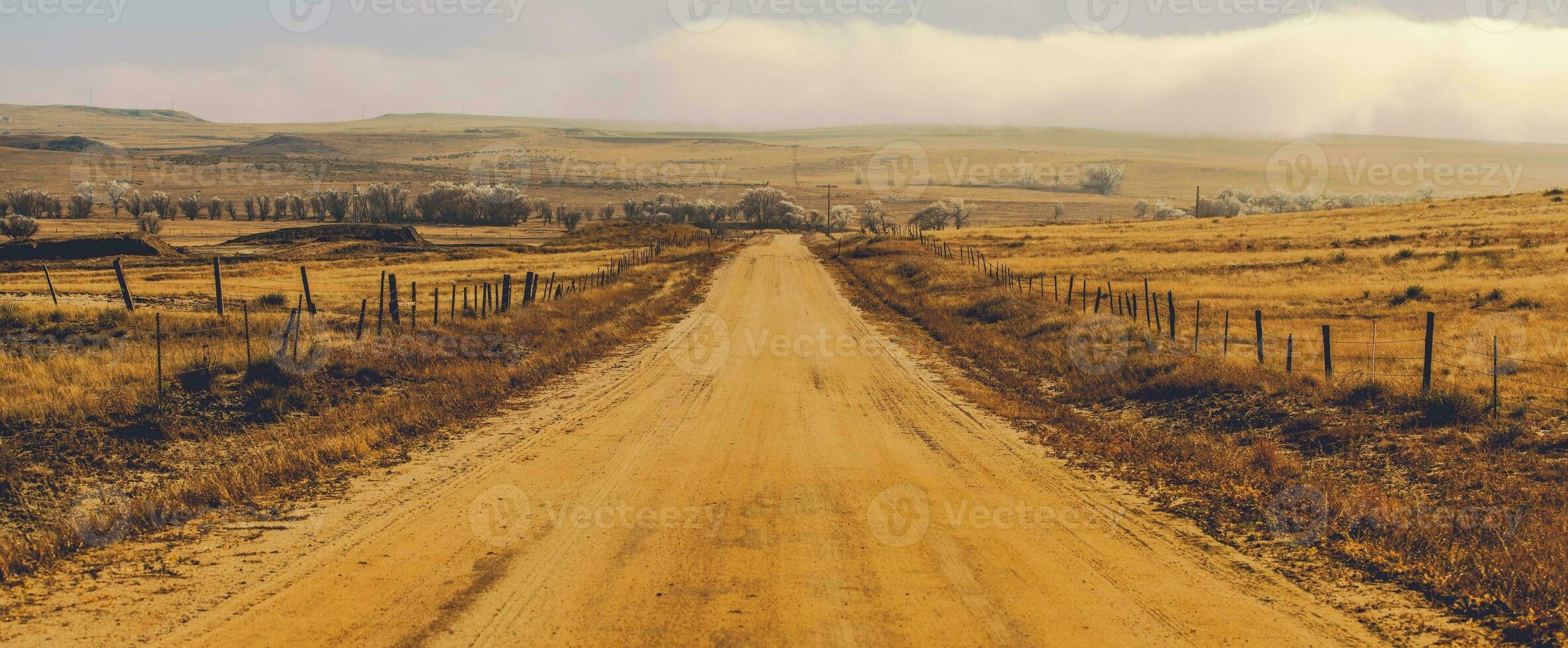 brumeux campagne route photo