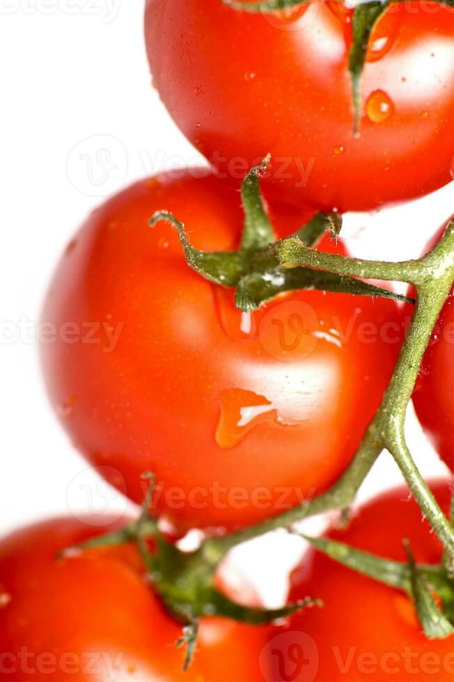 tomates fraîcheur fermer photo