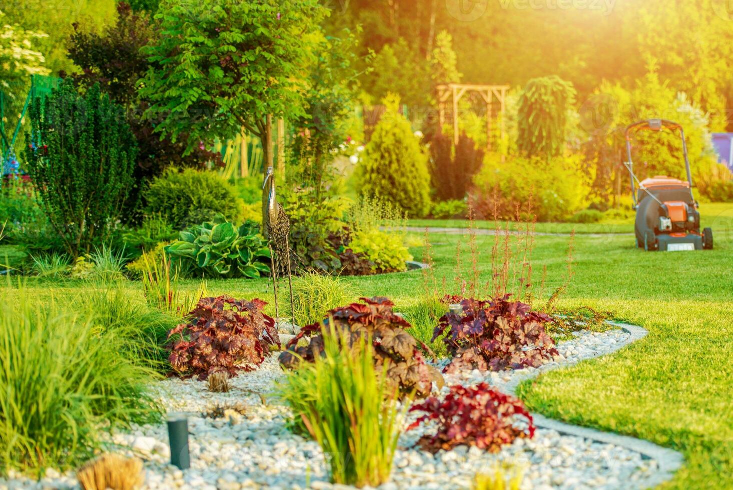 magnifique arrière-cour jardin photo