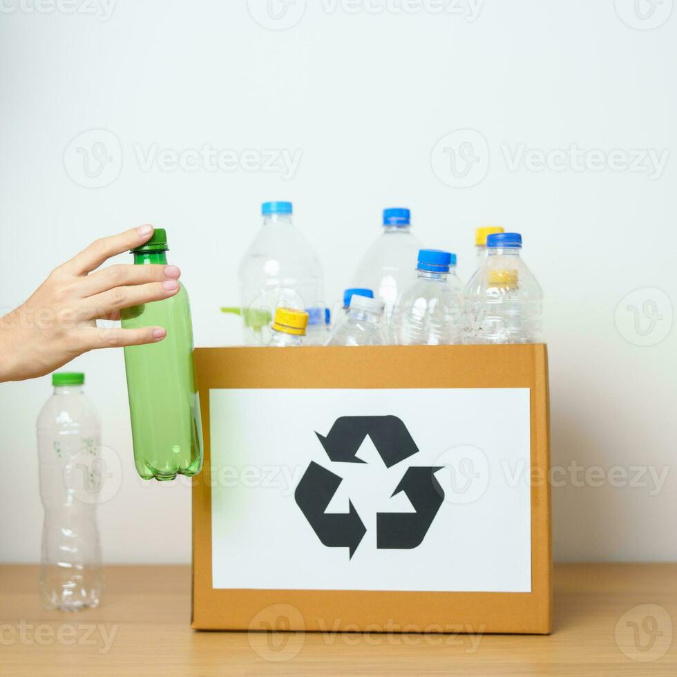 bénévole garder Plastique bouteille dans papier boîte à Accueil ou bureau. main tri recycler ordures. écologie, environnemental, pollution, disposer recyclage, déchets la gestion et poubelle séparation concept photo