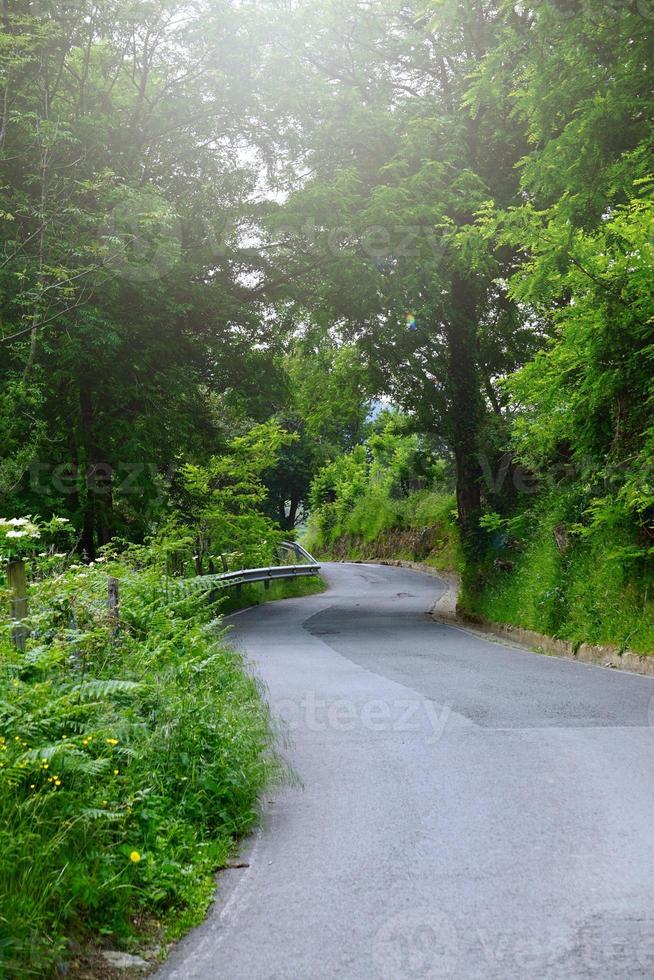 Route avec des arbres verts dans la montagne à bilbao espagne photo