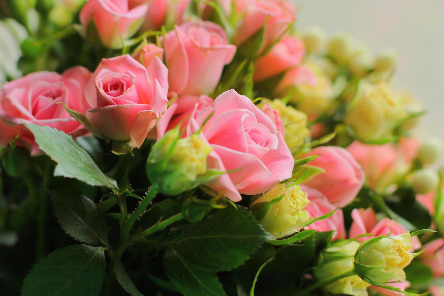 bouquet de roses naturelles roses rouges photo