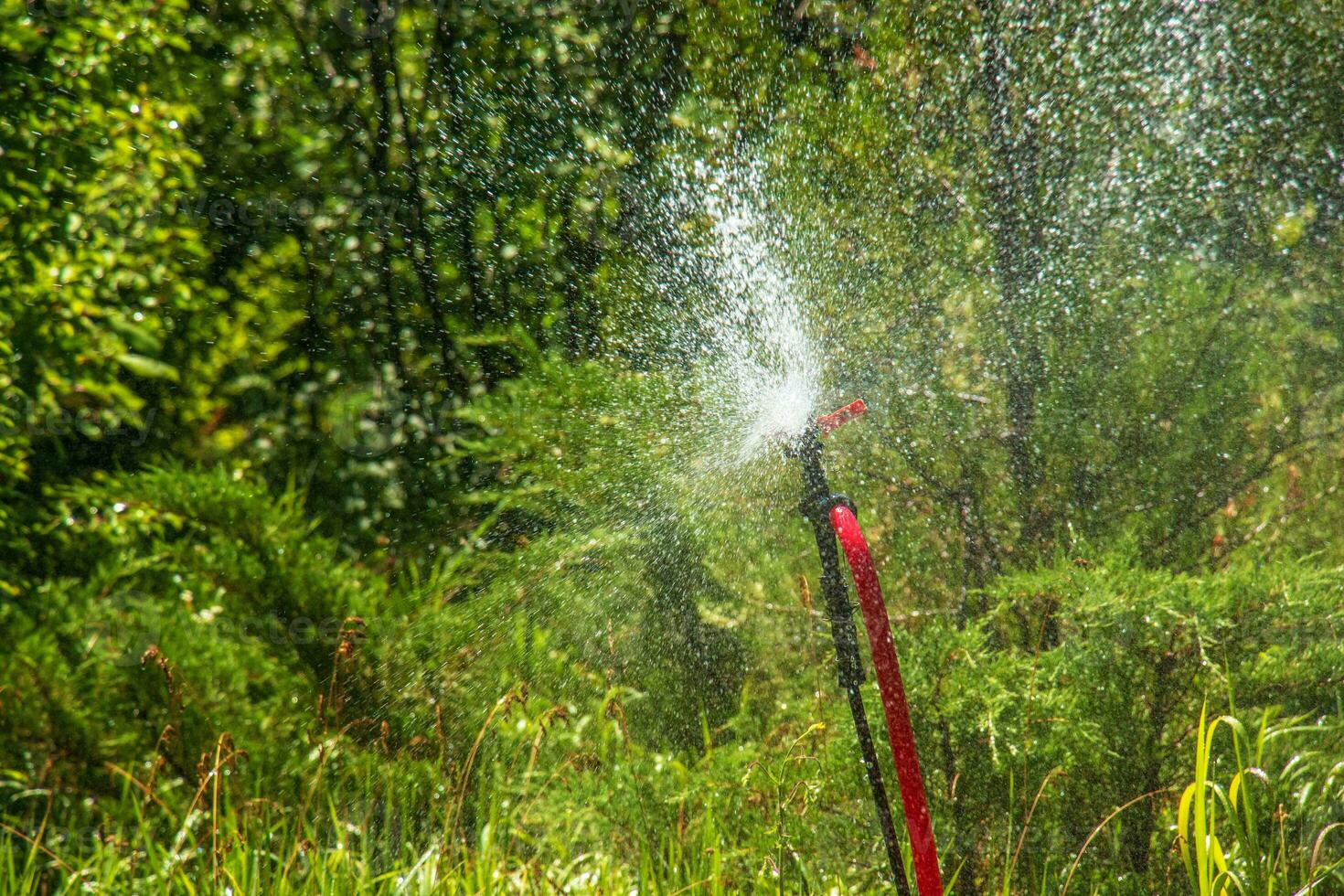 système d'irrigation de pelouse fonctionnant dans un parc verdoyant. arroser  la pelouse avec de l'eau par temps chaud. arroseur automatique. la tête d'arrosage  automatique arrosant la pelouse. jardin intelligent. 4539280 Photo de