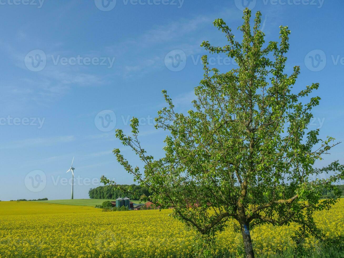 le printemps en westphalie photo