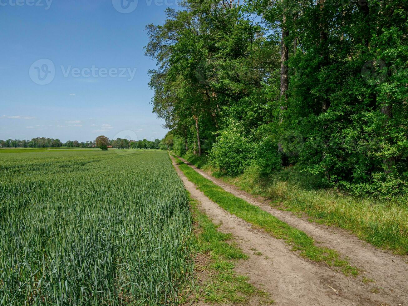 le village de burlo dans westphalie photo