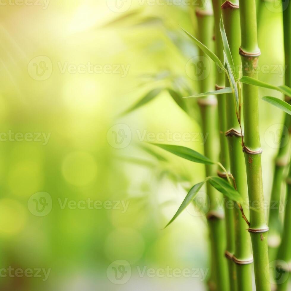 vert Naturel Contexte avec bambou. illustration ai génératif photo
