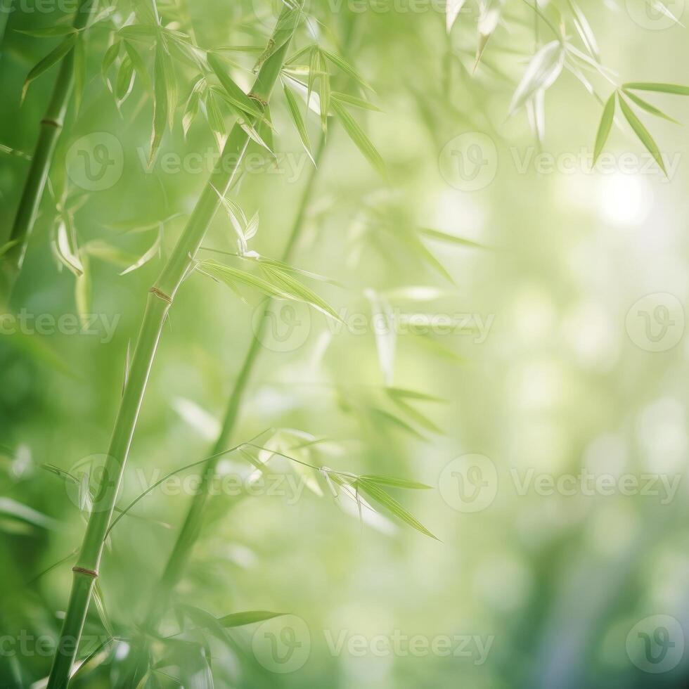 vert Naturel Contexte avec bambou. illustration ai génératif photo