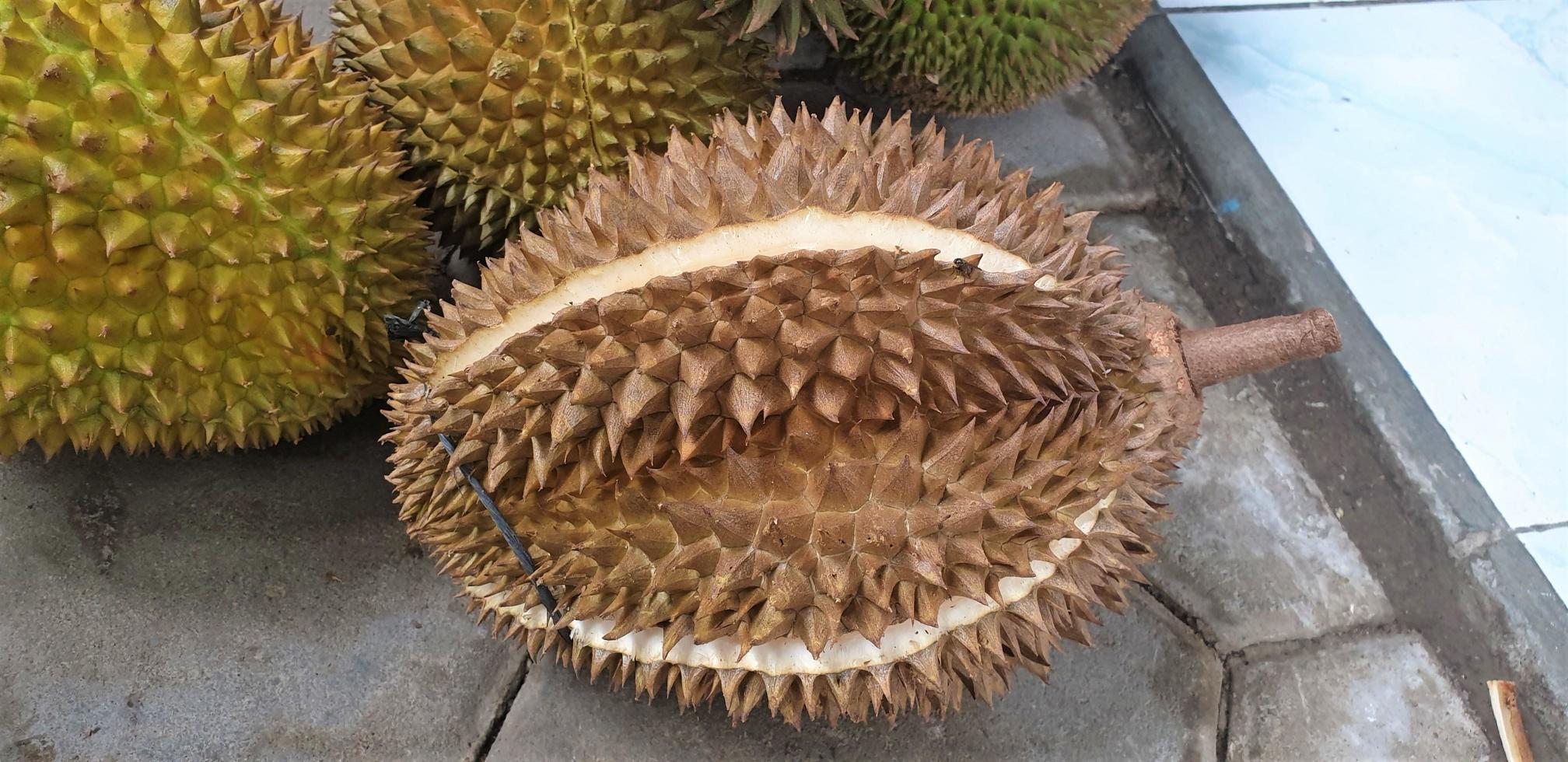 fruit durian frais, format bannière photo