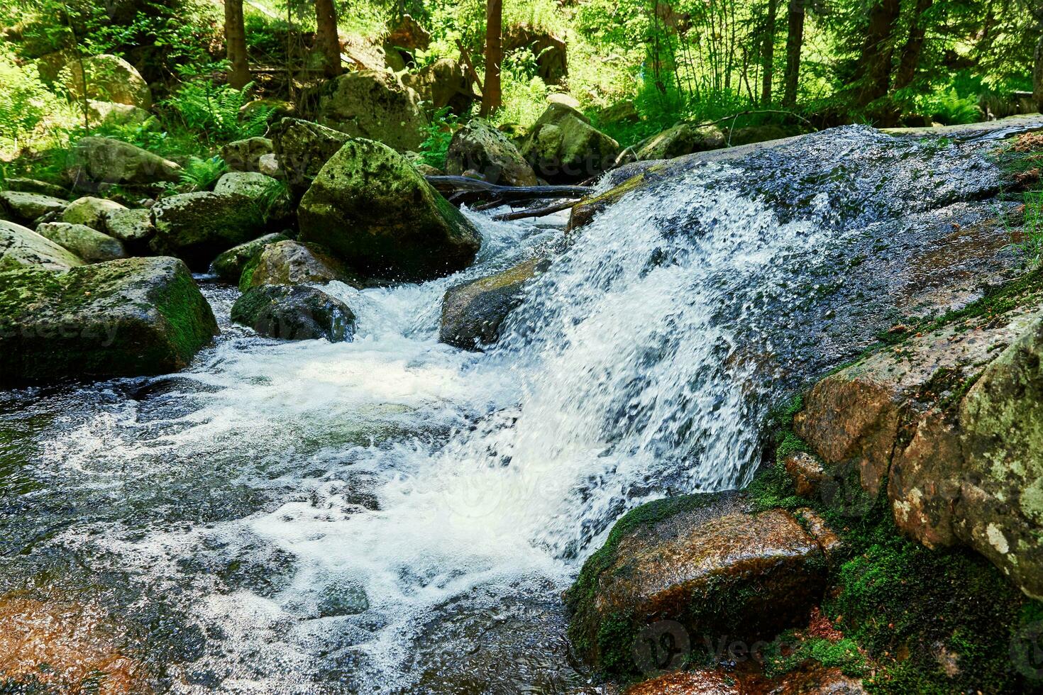 vite Montagne rivière avec cascades dans Karpacz, Pologne photo