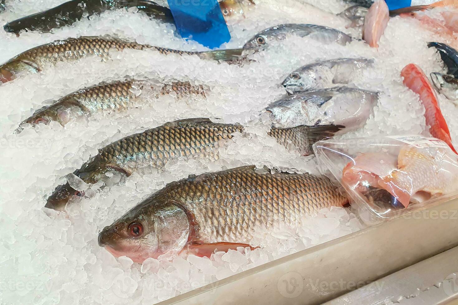 Frais poisson dans la glace plateau le supermarché photo