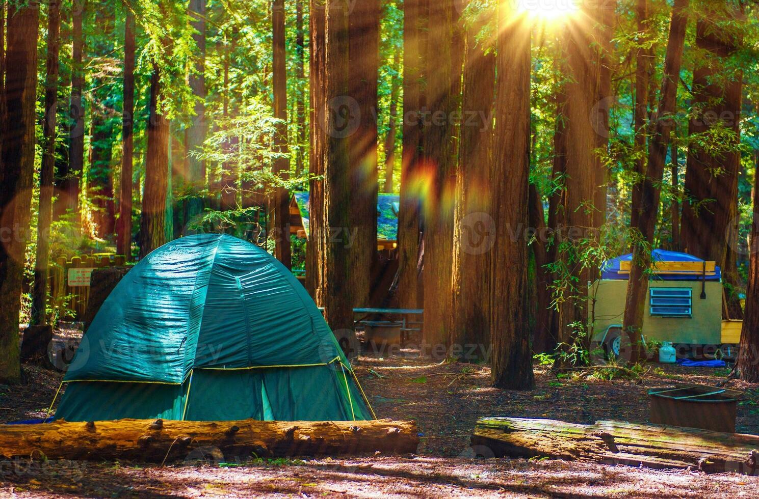 tente camping dans séquoias photo