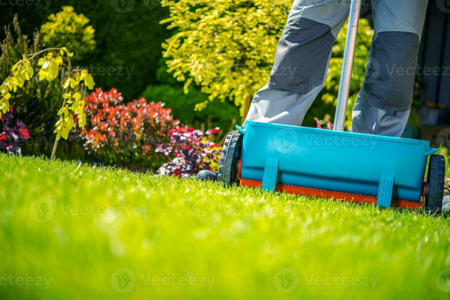 printemps fertilisation de herbe photo