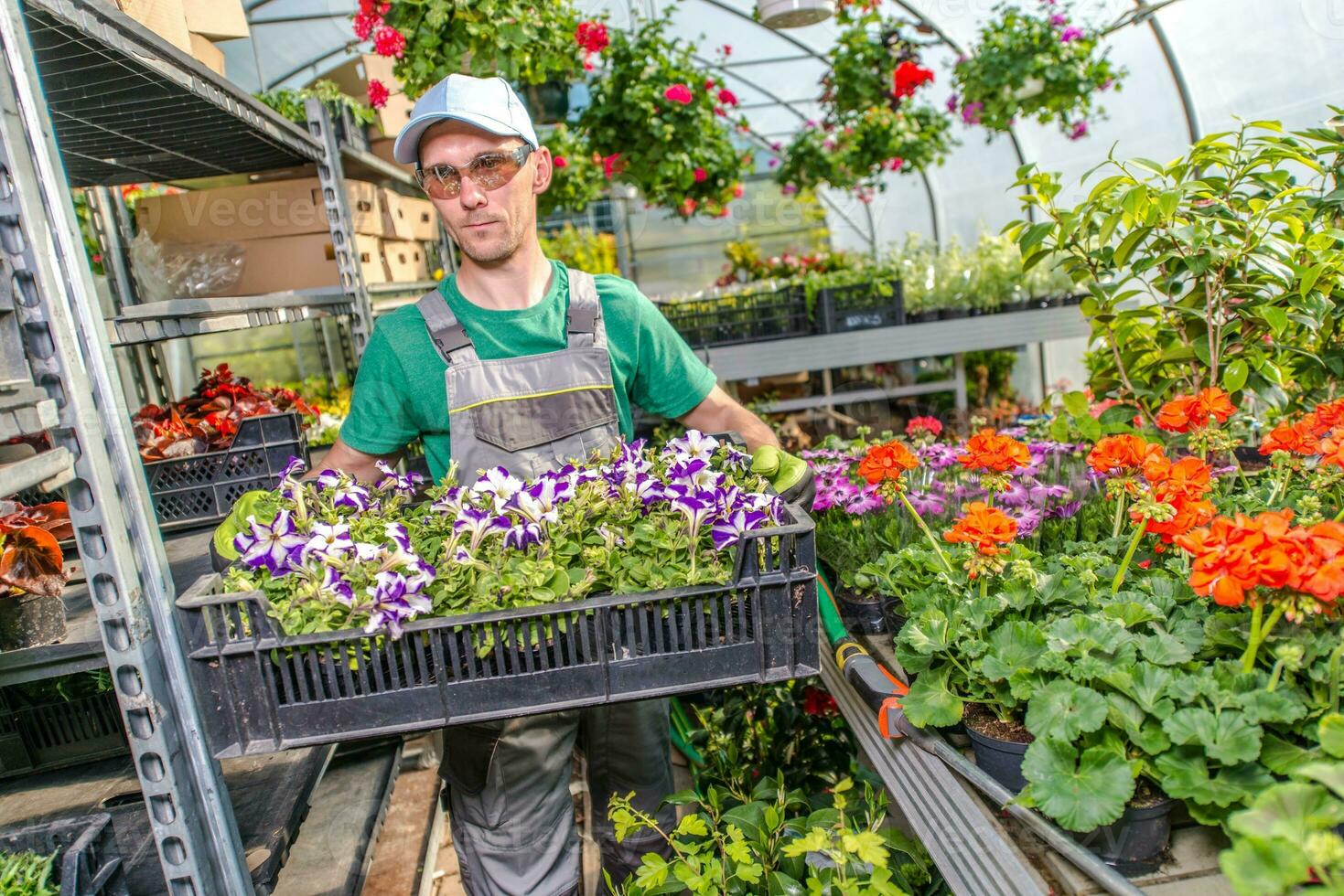 jardin et fleurs affaires photo