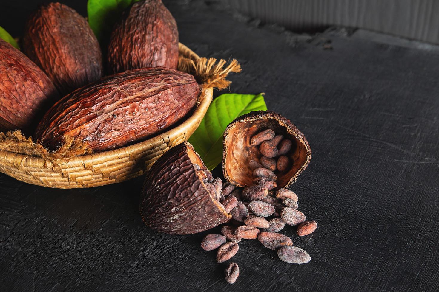 cacao séché et fèves de cacao photo