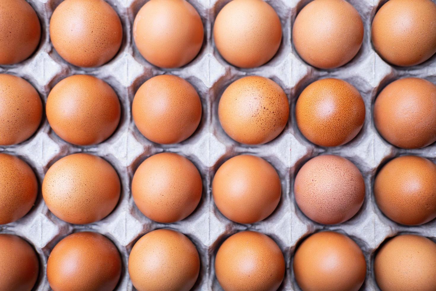 Un gros plan d'oeufs de poule crus dans des panneaux d'oeufs photo