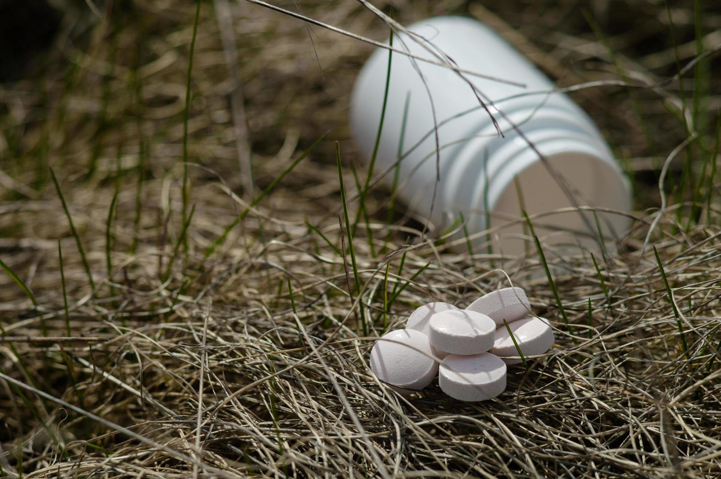 pilules blanches dans l'herbe sèche photo