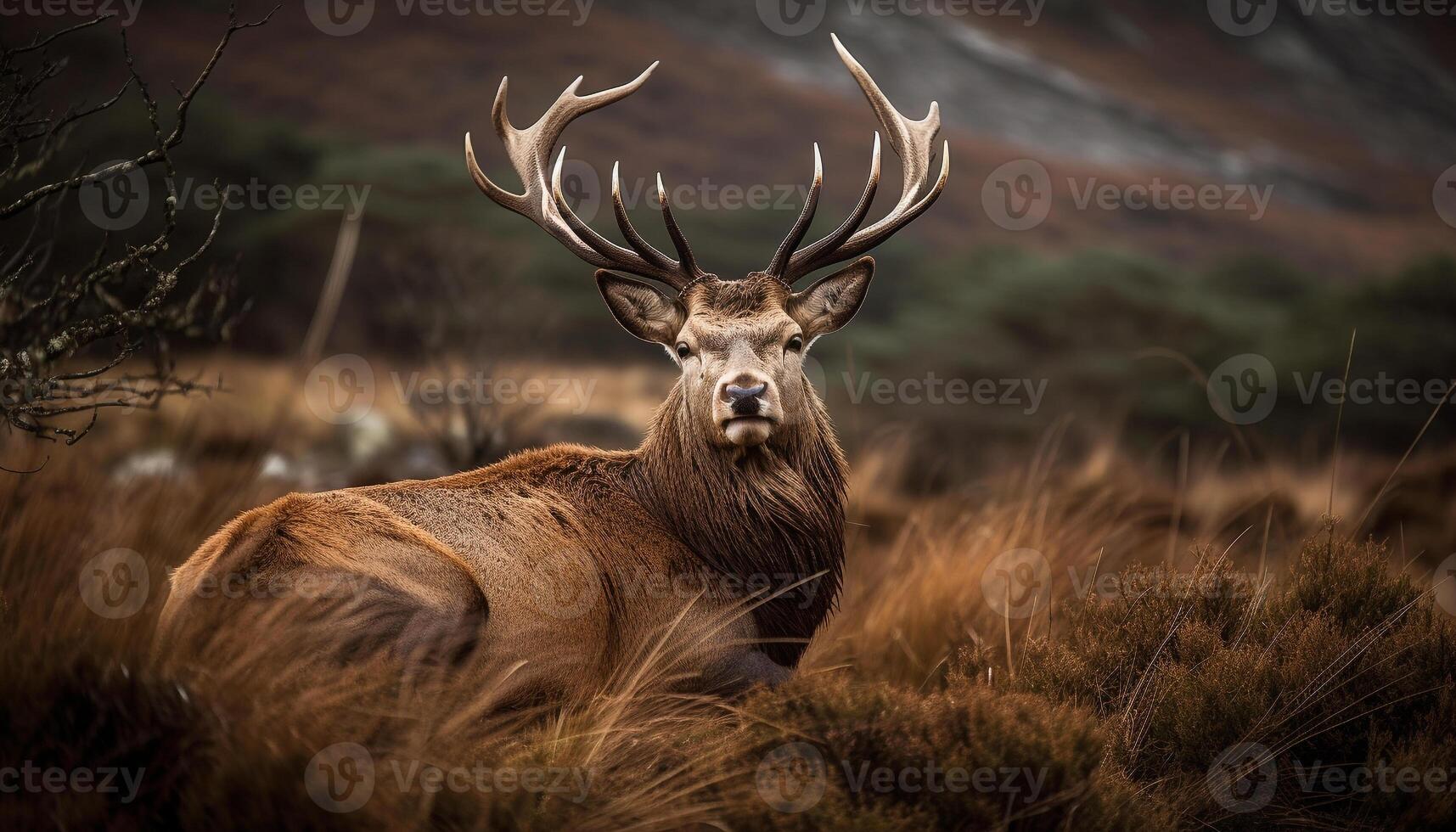 cerf broute pacifiquement dans tranquille Prairie scène généré par ai photo