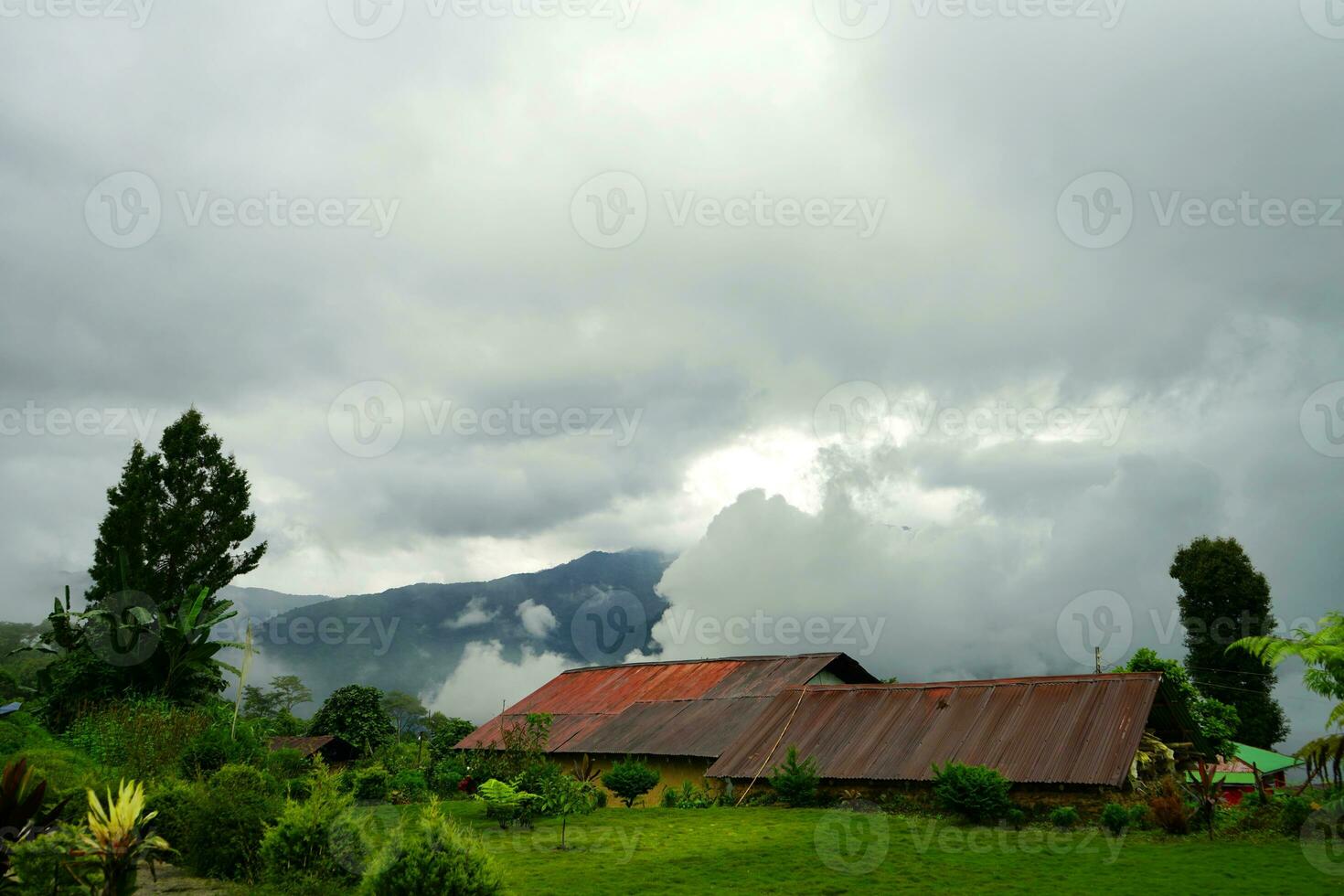 magnifique scénique Naturel vue de la nature de poumon à est sikkim photo