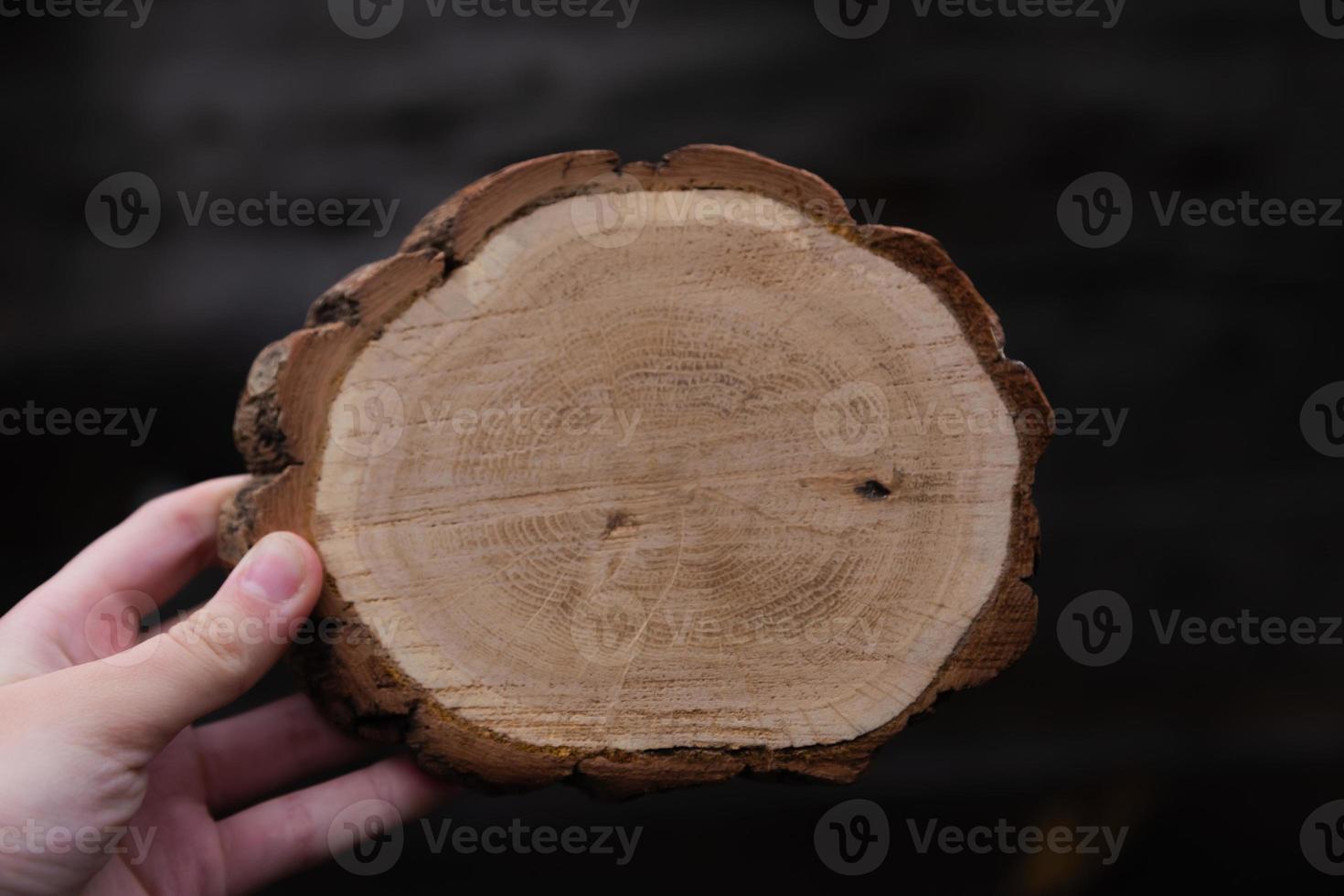 main de femme tenant un morceau circulaire vide de section de bois photo