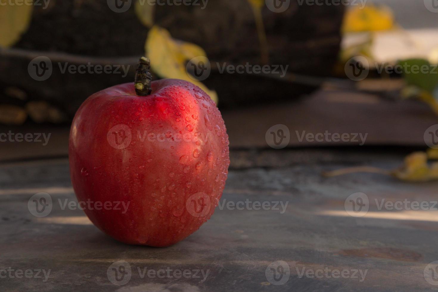 pomme rouge disposée sur un sol métallique photo