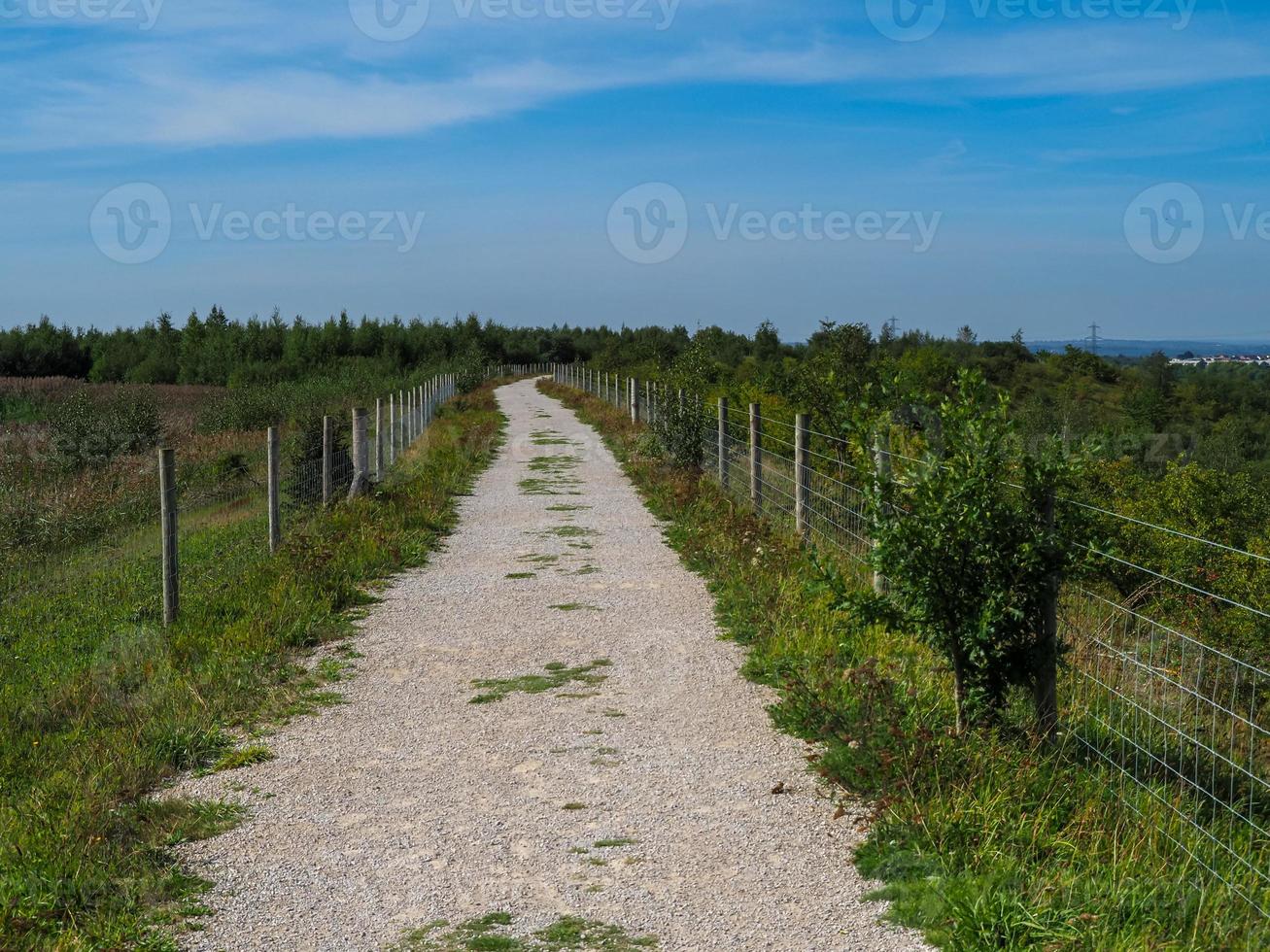 Sentier à travers la réserve naturelle de Fairburn Ings West Yorkshire Angleterre photo