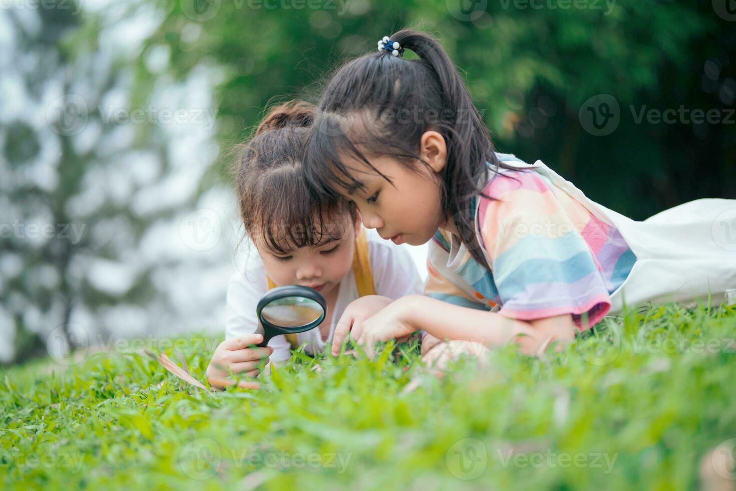 photo de Jeune asiatique bébé fille en jouant à parc