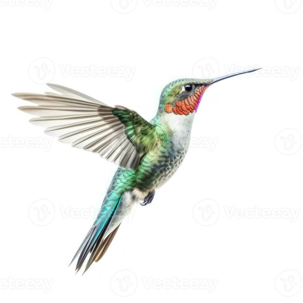 bleu vif vaste facturé colibri isolé. illustration ai génératif photo