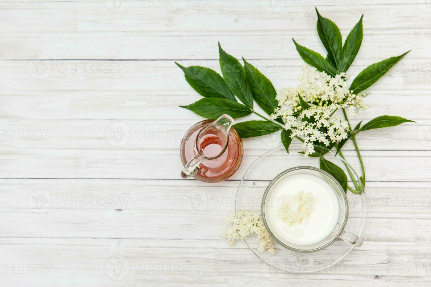 fleur de sureau, Lait et mon chéri infusion pour la toux traitement. sambucus nigra photo