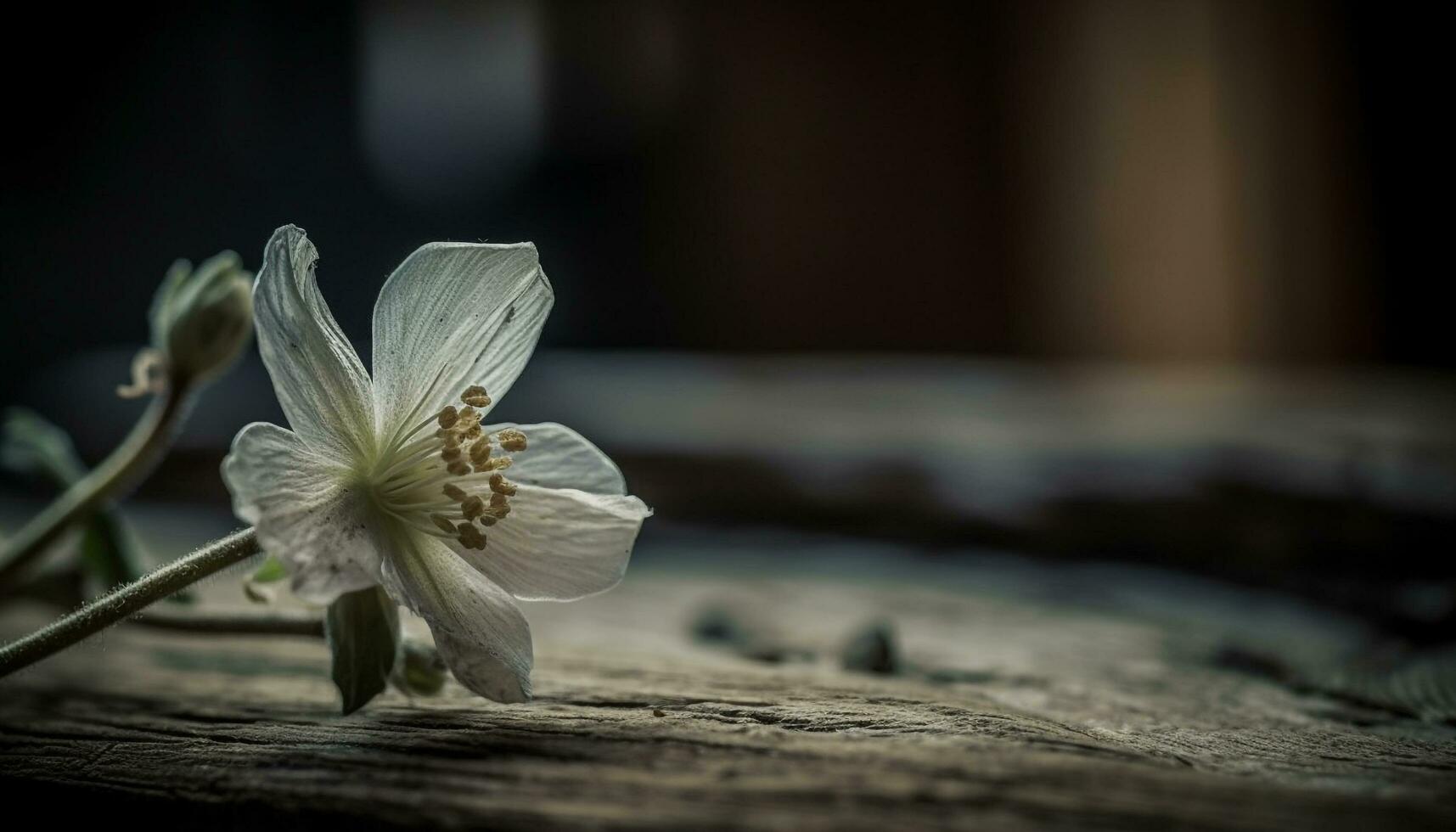 Célibataire fleur fleurir, élégance dans la nature conception généré par ai photo