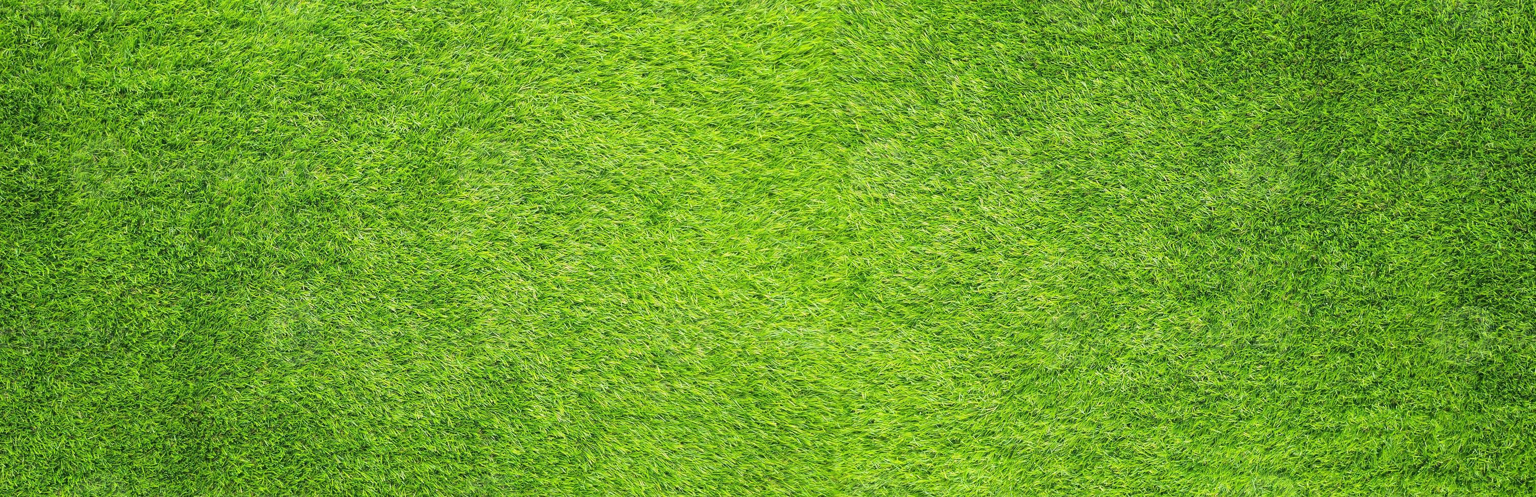 le fond de texture de motif herbe verte artificielle photo